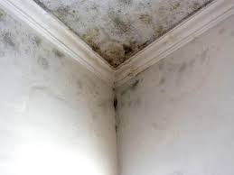 Best Residential Mold Inspection & Testing  in Pelham, GA