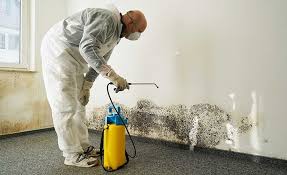 Why You Should Choose Our Mold Remediation Services in Pelham, GA